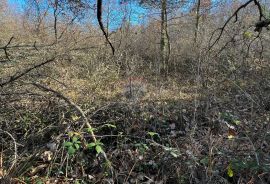 Tinjan - okolica, građevinsko zemljište industrijske namjene, Tinjan, Land