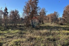 Poreč - okolica, poljoprivredno zemljište sa vodom na terenu, Poreč, أرض