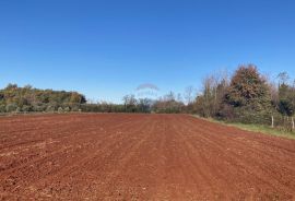 Fiorini, veliko poljoprivredno zemljište, Brtonigla, Land