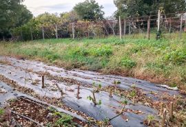 Istra, Valtura, građevinsko zemljište s ucrtanim objektima, Ližnjan, Terreno