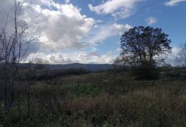 Ogulin,Tržić Tounjski - negrađevinsko zemljište 29,655 m2, Ogulin, Land