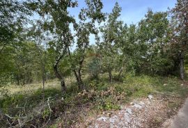 Baderna - okolica, poljoprivredno zemljište ukupne površine oko 21000m2, Poreč, Tierra