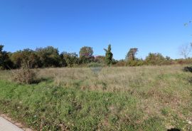 BADERNA, okolica- građevinsko zemljište stambene namjene, Poreč, أرض