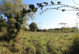 BADERNA, okolica- građevinsko zemljište stambene namjene, Poreč, أرض