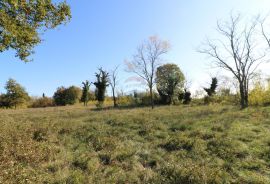 BADERNA, okolica- građevinsko zemljište stambene namjene, Poreč, أرض