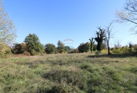 BADERNA, okolica- građevinsko zemljište stambene namjene, Poreč, أرض