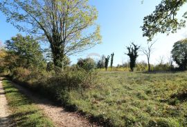 BADERNA, okolica- građevinsko zemljište stambene namjene, Poreč, أرض