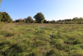 BADERNA, okolica- građevinsko zemljište stambene namjene, Poreč, أرض