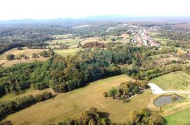 SISAK okolica, jedinstveno izletište na 32ha zelenila, Sisak - Okolica, Propiedad comercial