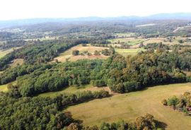 SISAK okolica, jedinstveno izletište na 32ha zelenila, Sisak - Okolica, Propiedad comercial