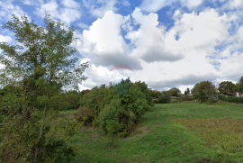 Istra, Tinjan - građevinsko zemljište ukupne kvadrature 3197 m2, Tinjan, Terreno