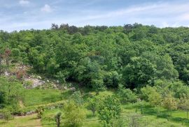 Kastav, Spinčići, samostojeća kuća s 3 stana i poslovnim prostorom, Kastav, House