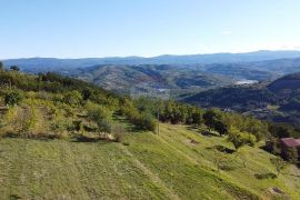 Motovun okolica, građevinski i poljoprivredni teren lijepog pogleda, Pazin - Okolica, أرض