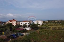 Istra , Novigrad - Građevinsko zemljište za izgradnju 5 stanova, Novigrad, Tierra