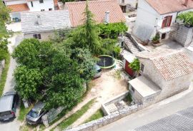 ISTRA, ŽMINJ - Kuća 180 m2 i stara kuća 90 m2 za adaptaciju, Žminj, House