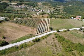 Središnja Istra, građevinsko zemljište s lijepim pogledom, Pazin - Okolica, Γη