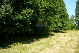 GORNJA GRAČENICA, zemljište idealno za benzinsku postaju ili auto praonu, 5349m2, Popovača, Земля