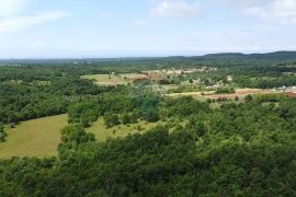 Višnjan, građevinsko zemljište proizvodno-poslovne namjene, Višnjan, Land