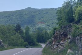 MATULJI - ŽEJANE - Šuma na prodaju, Matulji, Land