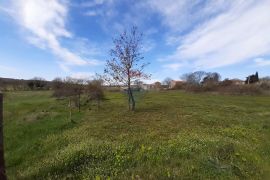 Istra, Baderna okolica građevinska parcela, Višnjan, Земля