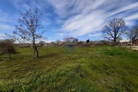 Istra, Baderna okolica građevinska parcela, Višnjan, Земля