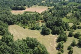 Istra, Žminj okolica, poljoprivredno zemljište, Žminj, Land