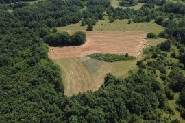 Istra, Žminj okolica, poljoprivredno zemljište, Žminj, Land