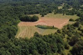 Istra, Žminj okolica, poljoprivredno zemljište, Žminj, Land