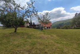 Lukovdol, kuća sa okućnicom 2000 m2, Vrbovsko, Casa