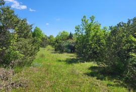 Istra, Vodnjan-Mednjan, veće poljoprivredno zemljište, Vodnjan, Zemljište