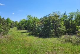 Istra, Vodnjan-Mednjan, veće poljoprivredno zemljište, Vodnjan, Zemljište