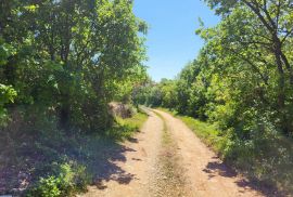 Istra, Vodnjan-Mednjan, poljoprivredno zemljište sa urednim pristupom, Vodnjan, Zemljište