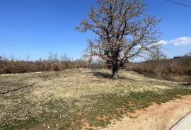 Pazin - okolica, građevinsko zemljište u mirnom mjestu, Pazin - Okolica, Land