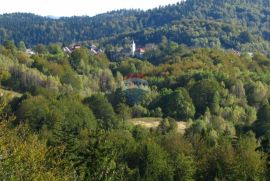 Crni Lug - građevinsko zemljište, 2415m2, blizina NP Risnjak, Delnice, Land