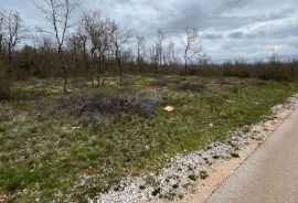 Višnjan - okolica, poljoprivredno zemljište uz asfaltiranu prometnicu, Tinjan, Γη