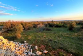 Građevinsko zemljište , panoramski pogled na more, Vodnjan, Γη