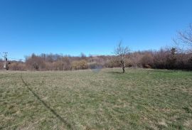 Istra, Barban, građevinsko zemljište 3000m2 na lijepoj lokaciji, Barban, Land