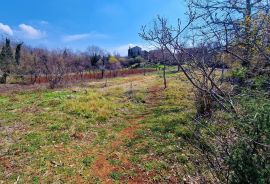 Istra,Grožnjan,okolica-Građevinsko zemljište u mirnom okruženju, Grožnjan, Zemljište