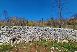 Istra,Grožnjan,okolica-Građevinsko zemljište u mirnom okruženju, Grožnjan, Zemljište