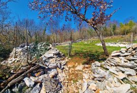 Istra,Grožnjan,okolica-Građevinsko zemljište u mirnom okruženju, Grožnjan, Zemljište