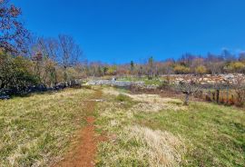 Istra,Grožnjan,okolica-Građevinsko zemljište u mirnom okruženju, Grožnjan, Zemljište