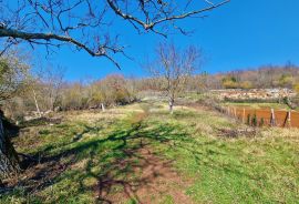 Istra,Grožnjan,okolica-Građevinsko zemljište u mirnom okruženju, Grožnjan, Zemljište