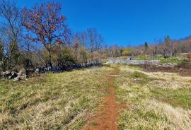 Istra,Grožnjan,okolica-Građevinsko zemljište u mirnom okruženju, Grožnjan, Zemljište