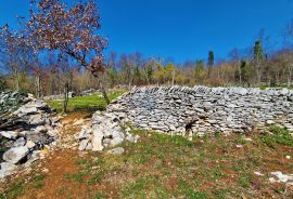 Istra,Grožnjan,okolica-Građevinsko zemljište u mirnom okruženju, Grožnjan, Zemljište