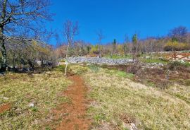 Istra,Grožnjan,okolica-Građevinsko zemljište u mirnom okruženju, Grožnjan, Zemljište