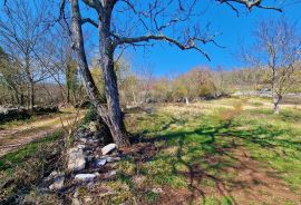 Istra,Grožnjan,okolica-Građevinsko zemljište u mirnom okruženju, Grožnjan, Zemljište