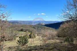 Motovun - okolica, poljoprivredno zemljište na izuzetnoj lokaciji, Karojba, Γη