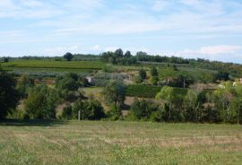 Građevinsko zemljište otvorenog pogleda kod Vižinade, Vižinada, Tierra