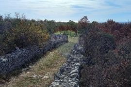 Istra, okolica Vodnjana, maslinik na 2 čestice, Vodnjan, Zemljište