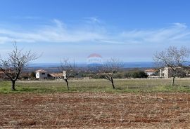 Poreč - okolica, prekrasno građevinsko zemljište otvorenog pogleda na more, Kaštelir-Labinci, Γη